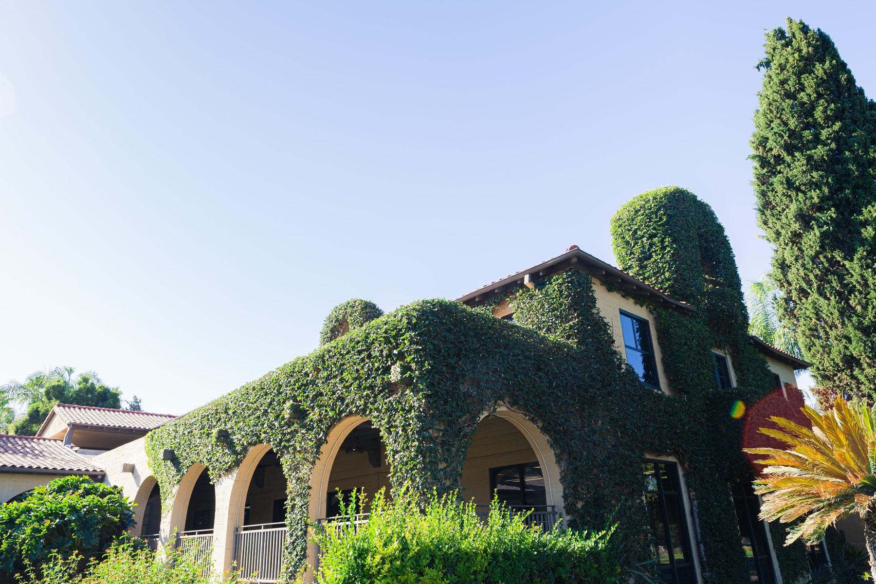 Exterior of CBU campus building covered in ivy