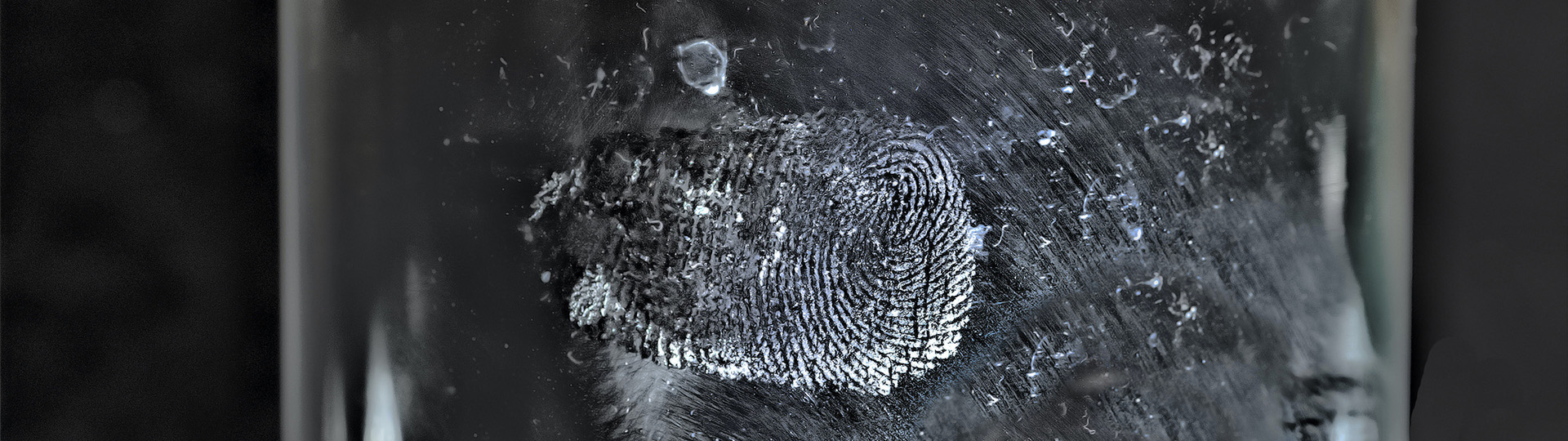 fingerprint